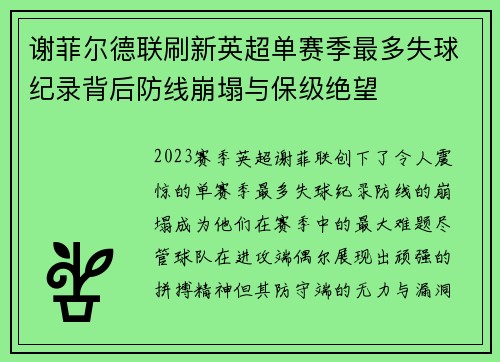 谢菲尔德联刷新英超单赛季最多失球纪录背后防线崩塌与保级绝望